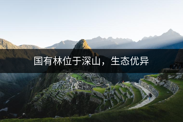 國有林位于深山，生態(tài)優(yōu)異