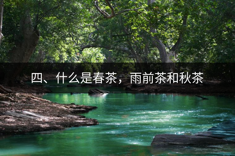 四、什么是春茶，雨前茶和秋茶