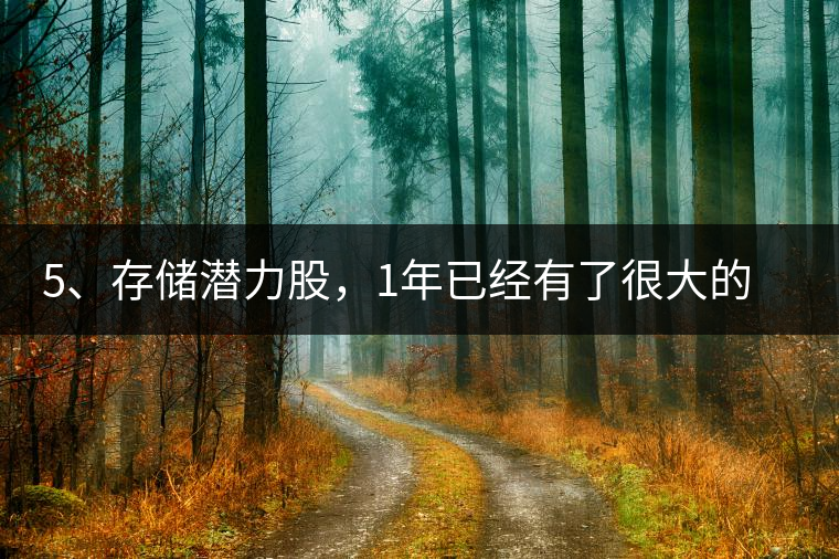 5、存儲潛力股，1年已經(jīng)有了很大的變化