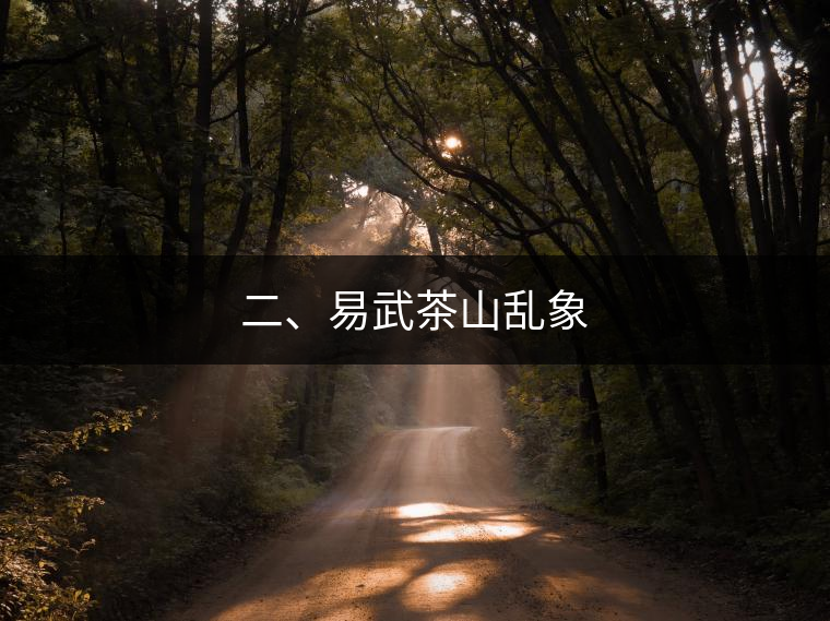 二、易武茶山亂象