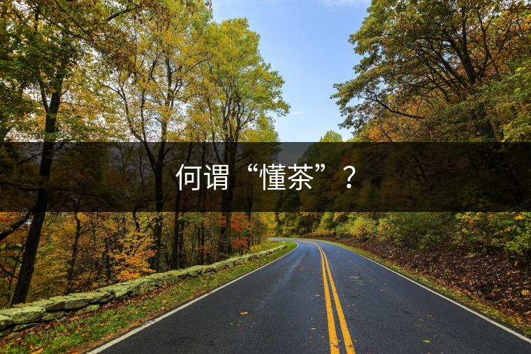 何謂“懂茶”？
