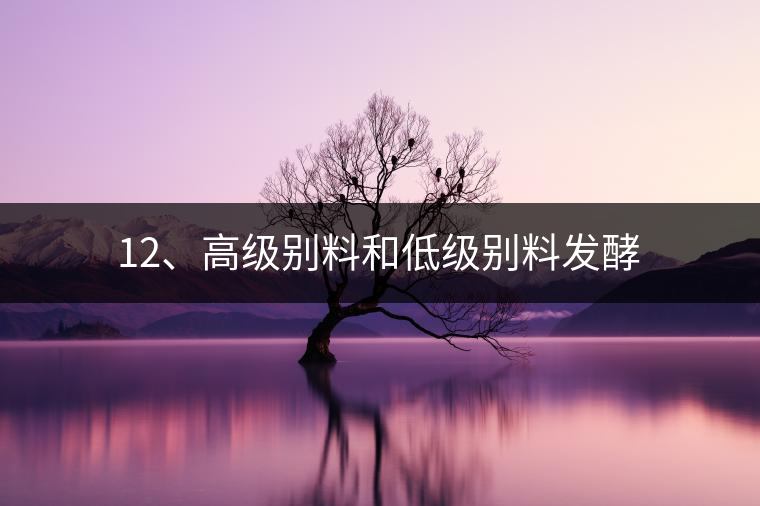 12、高級(jí)別料和低級(jí)別料發(fā)酵