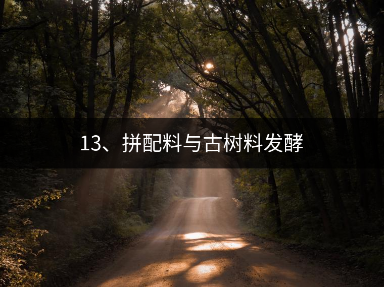 13、拼配料與古樹(shù)料發(fā)酵