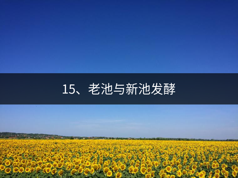 15、老池與新池發(fā)酵