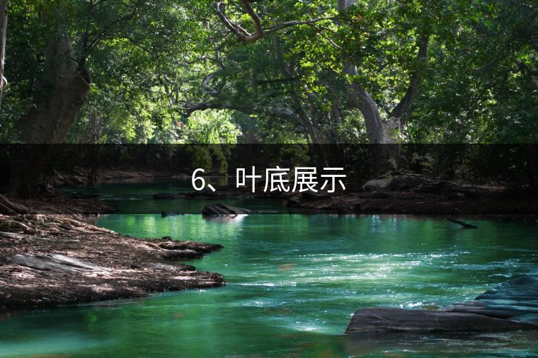 6、葉底展示