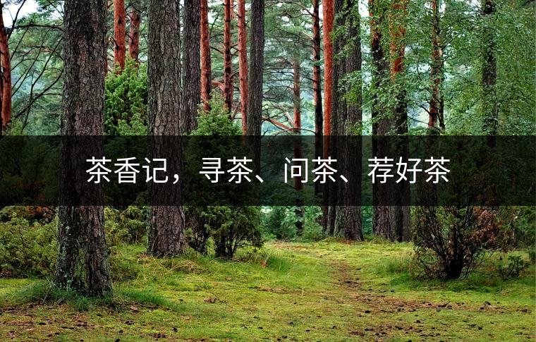 茶香記，尋茶、問茶、薦好茶