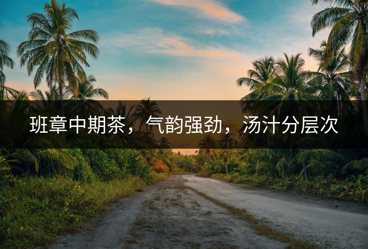 班章中期茶，氣韻強(qiáng)勁，湯汁分層次