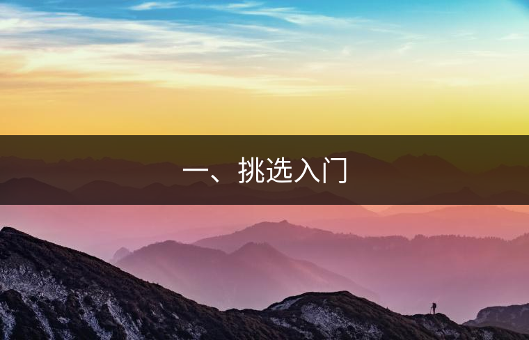 一、挑選入門