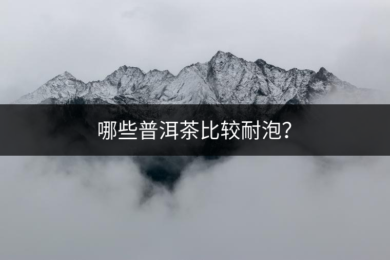 哪些普洱茶比較耐泡？