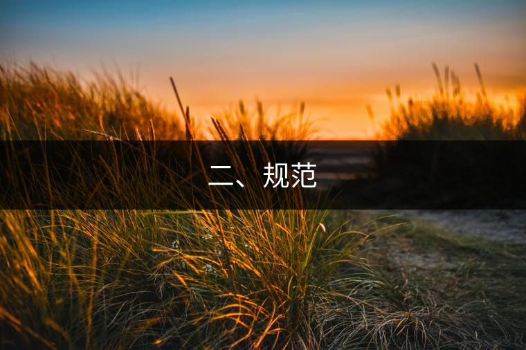 二、規(guī)范