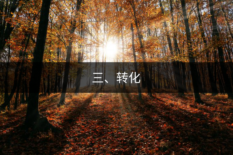 三、轉(zhuǎn)化