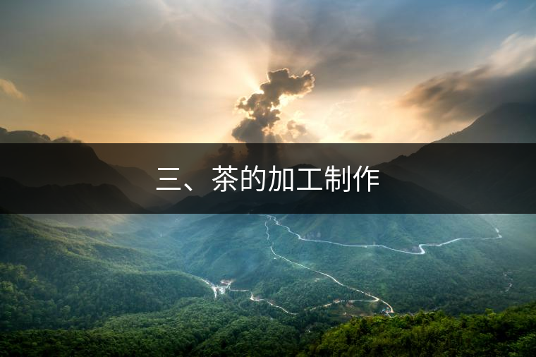 三、茶的加工制作