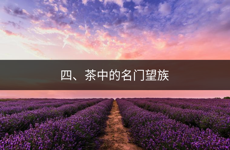 四、茶中的名門(mén)望族