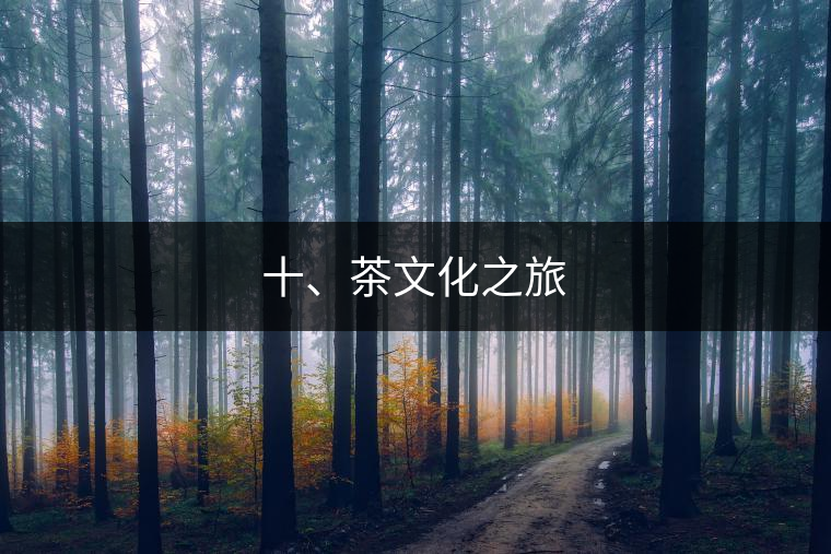 十、茶文化之旅