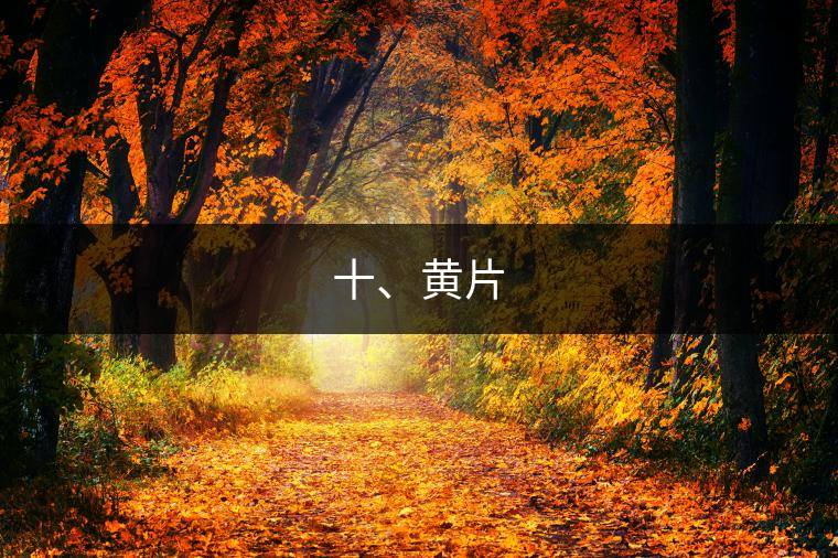 十、黃片