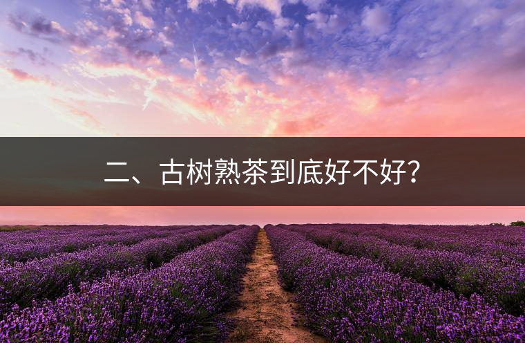 二、古樹熟茶到底好不好？