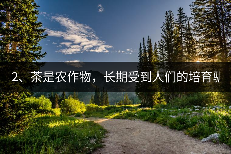 2、茶是農(nóng)作物，長期受到人們的培育馴化。