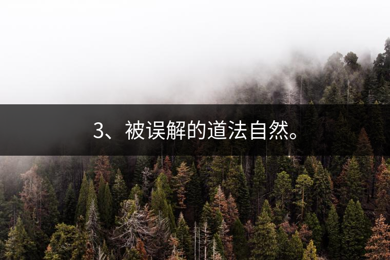 3、被誤解的道法自然。