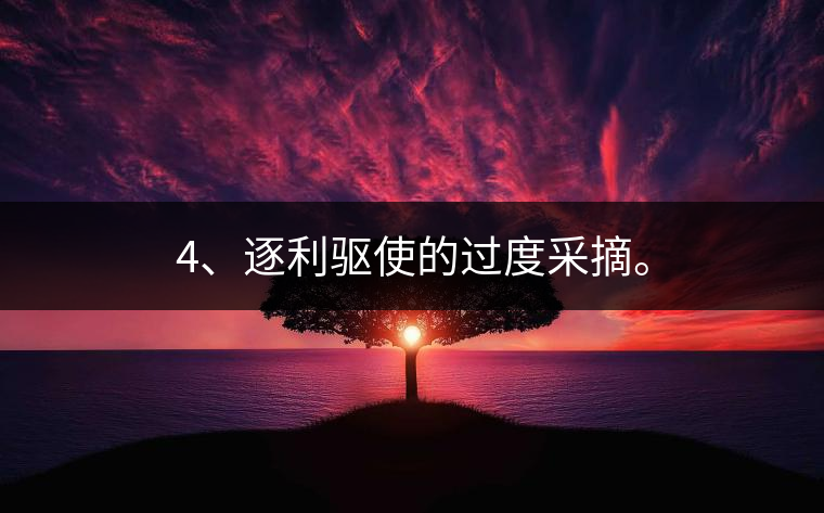 4、逐利驅(qū)使的過度采摘。