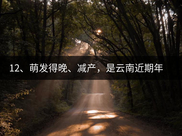 12、萌發(fā)得晚、減產(chǎn)，是云南近期年氣候變化在茶樹上的延遲反映。