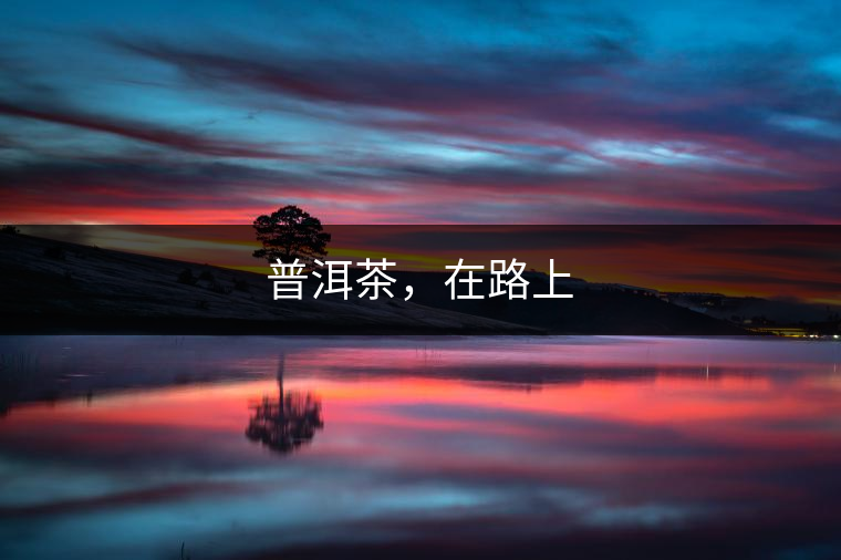 普洱茶，在路上