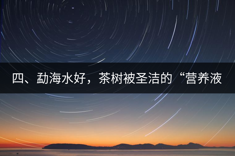 四、勐海水好，茶樹被圣潔的“營養(yǎng)液”所滋養(yǎng)