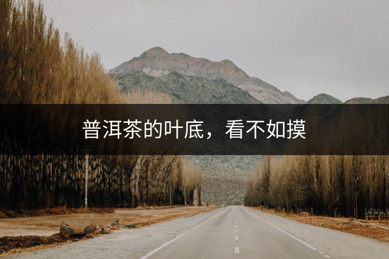 普洱茶的葉底，看不如摸