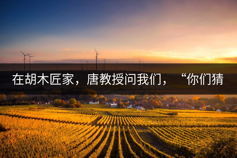 在胡木匠家，唐教授問我們，“你們猜猜他們家的茶放在哪里？”我們回答廚房、客廳都不對(duì)，“難道像寺院一樣，有專門的茶房不成？”教授和木匠都哈哈大笑，連連搖頭。在木匠的帶領(lǐng)下，我們來到主人的臥室，茶磚整齊有序地堆放在床頭柜里。一家之主的臥室，既是休息之所，亦是一家財(cái)富與傳家寶的收藏地。茶之精貴，毋需多言。