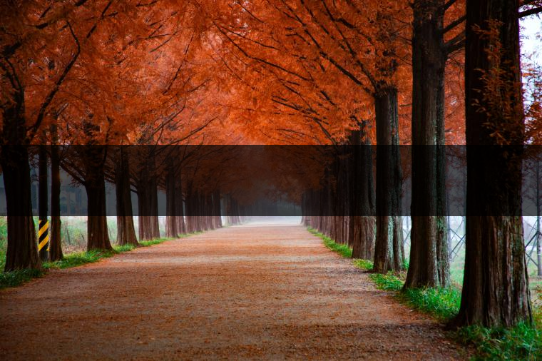 這樣的茶葉邊疆文化，也許是明代大學(xué)者解縉最樂意見到的。他曾說，中原最好的東西就是茶，而番人最好的就是馬。他贊同明廷茶馬互市的國策：茶之于夷人，如同中國之酒醴，因?yàn)椴桉R貿(mào)易，許多夷人也開始學(xué)習(xí)中國的知識(shí)，對(duì)中國也有了向慕之心，那么茶的作用就很顯然，茶有著“夷夏之交，義利之辨，寅賓尚忠信而篤敬，河州固唐虞三代之邦也。”
茶不僅僅是一種飲品，還有其他。茶作為媒介，體現(xiàn)了觀念的變化。如今，隨著茶的傳播，各族人民有了更深入往來，通過貿(mào)易、文化、旅游等等。
陳渠珍從西藏抵達(dá)湟源區(qū)域時(shí)，也為這里的古風(fēng)所震驚：“余皆漢番雜處。風(fēng)俗婦女尚餞足，裙下蓮步不及三寸，服飾既古，文化尤卑，鄰居為私塾，當(dāng)見一生久讀不能成誦，塾師罰之跪，以草圈罩頭上，頻加籌石，令其跪誦。余見駭然?！?
?
（摘自《海峽茶道》，2013年5期）