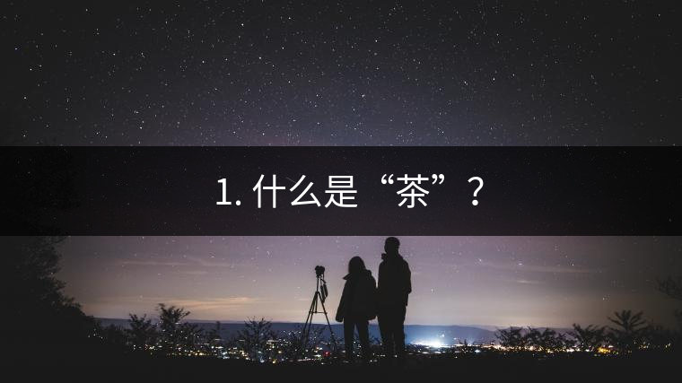 ? 1. 什么是“茶”？