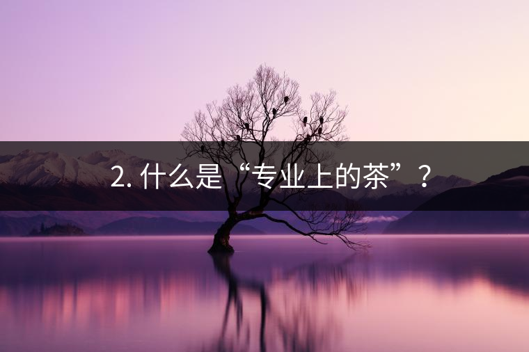 ? 2. 什么是“專業(yè)上的茶”？