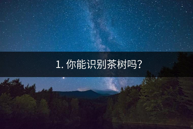 ??1. 你能識(shí)別茶樹(shù)嗎？
