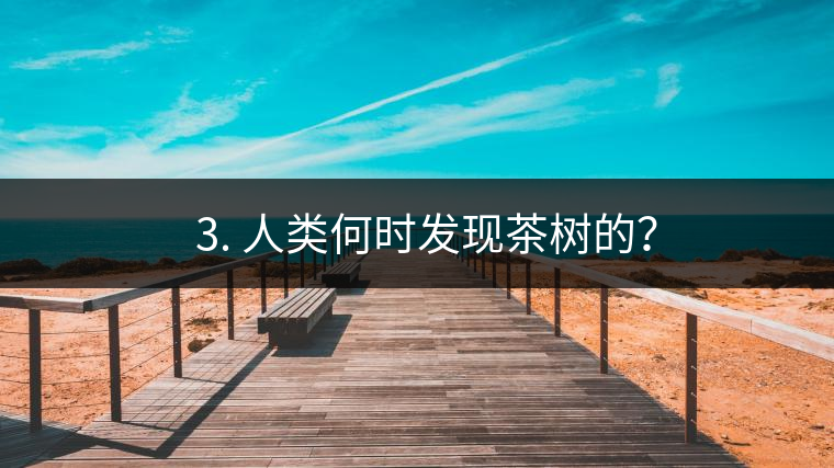 ? 3. 人類何時(shí)發(fā)現(xiàn)茶樹(shù)的？