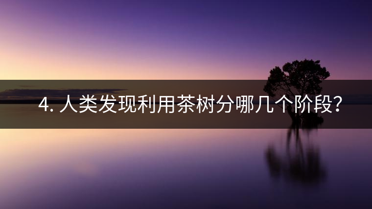 ? 4. 人類發(fā)現(xiàn)利用茶樹(shù)分哪幾個(gè)階段？