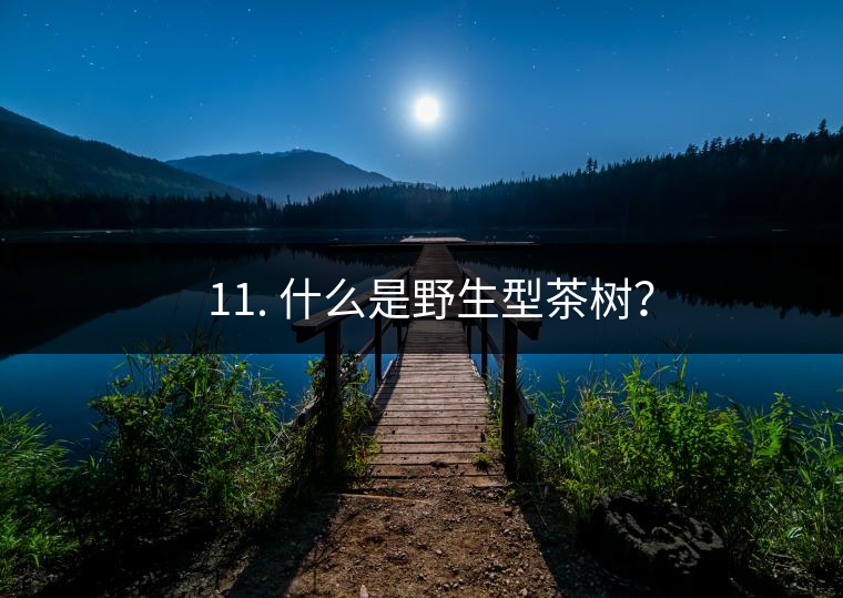 ? 11. 什么是野生型茶樹(shù)？