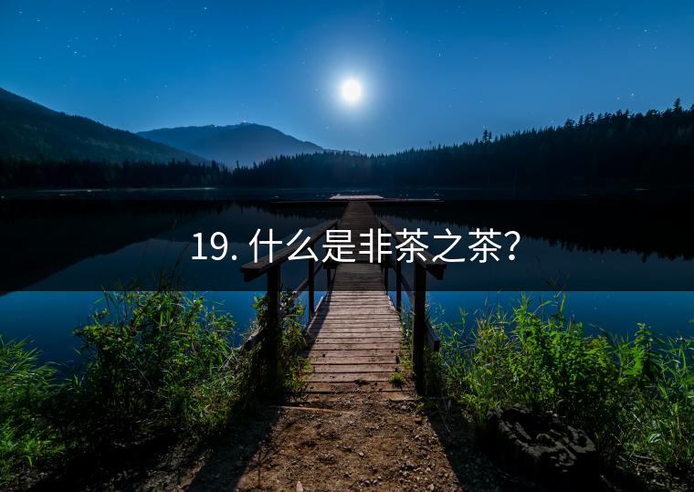 ? 19. 什么是非茶之茶？