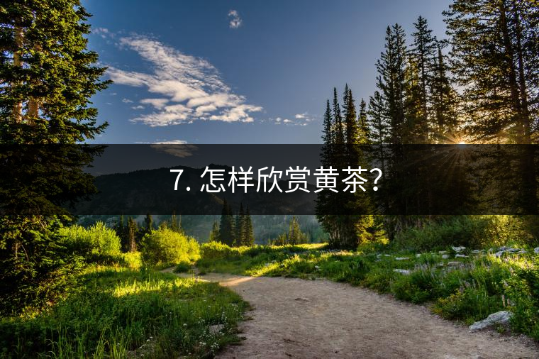 ? 7. 怎樣欣賞黃茶？