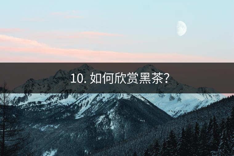 ? 10. 如何欣賞黑茶？