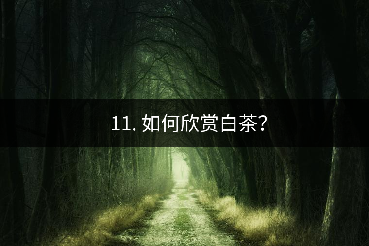 ??11. 如何欣賞白茶？