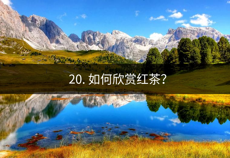 ? 20. 如何欣賞紅茶？
