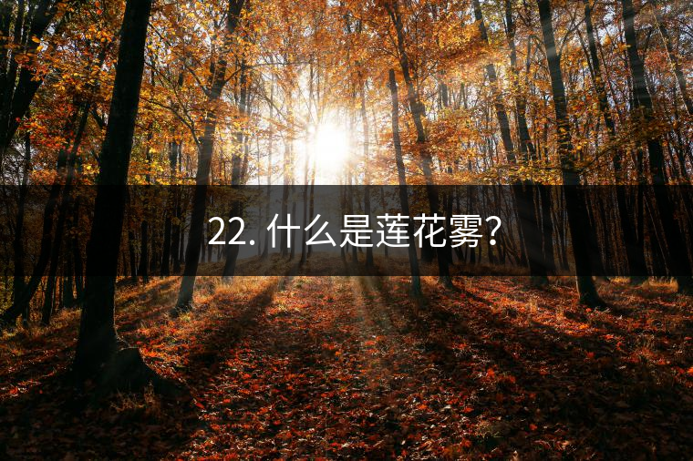 ? 22. 什么是蓮花霧？