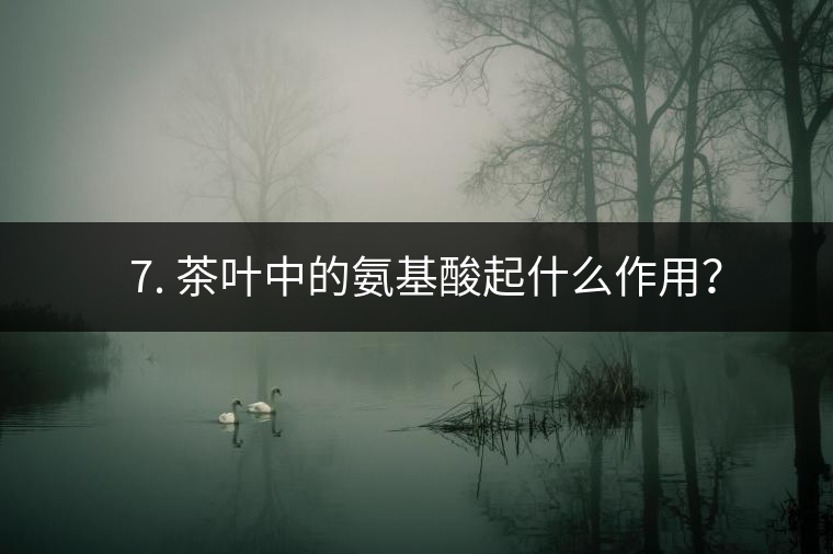 ? 7. 茶葉中的氨基酸起什么作用？