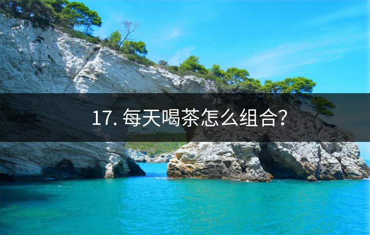? 17. 每天喝茶怎么組合？