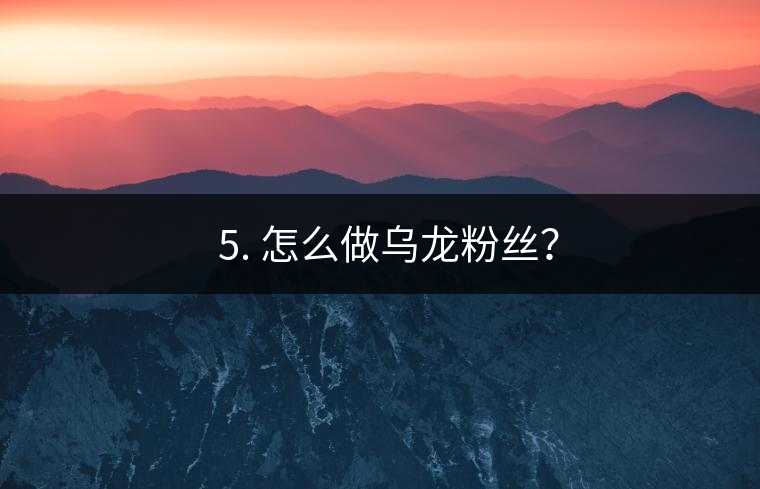 ? 5. 怎么做烏龍粉絲？