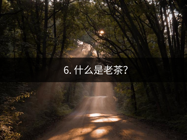 ? 6. 什么是老茶？