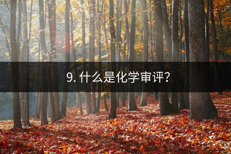 ? 9. 什么是化學(xué)審評(píng)？