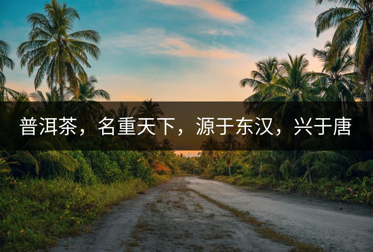 普洱茶，名重天下，源于東漢，興于唐宋，盛于明清。