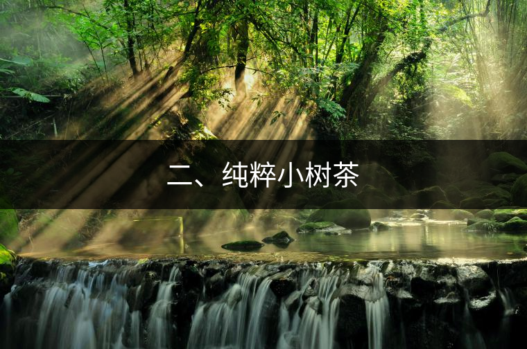 二、純粹小樹茶