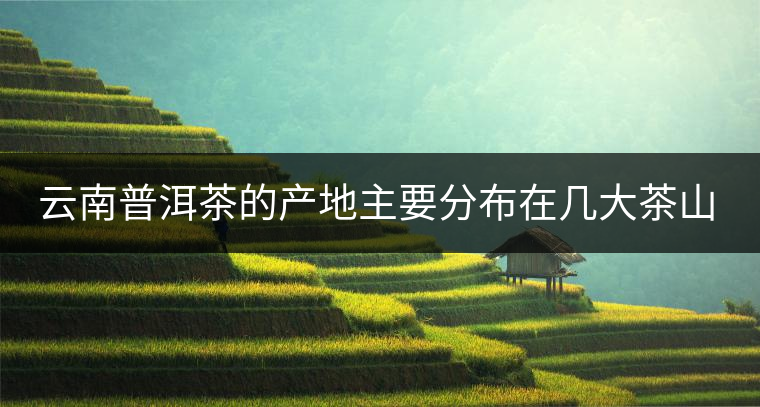 云南普洱茶的產(chǎn)地主要分布在幾大茶山，普洱茶古茶山以瀾滄江為界劃分為