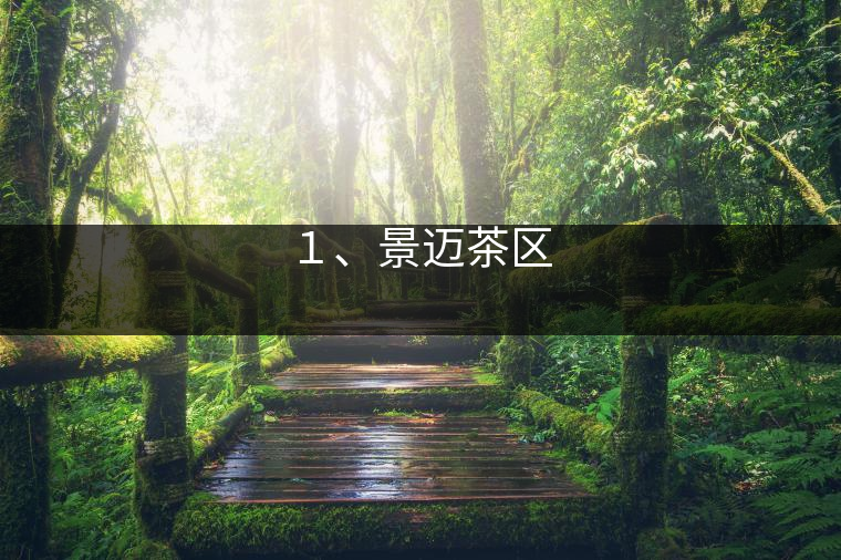 １、景邁茶區(qū)
?
